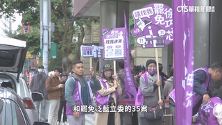 罷免立委大戰略　罷藍團體戰.罷綠拚倒賴