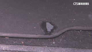 乘客NG行為曝！　司機最怕「打翻飲料.味道重食物」