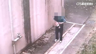 中壢砸車大盜3天犯案2次　共竊取近10萬元財物