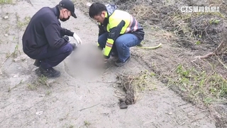 芒果園驚見40公分人骨！　警急開挖拼湊：死亡逾半年