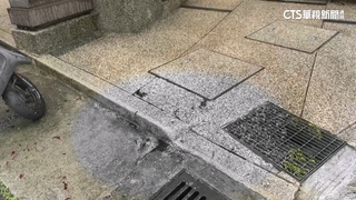 恐怖情殺！求復合遭拒　鉛球冠軍刺死儀隊女學霸