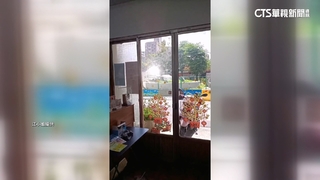 民怨「台版羅浮宮」玻璃刺眼　嘉市府：種樹改善