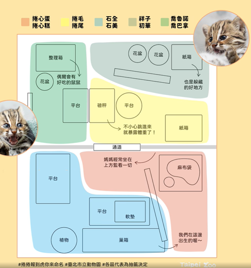 圖片翻攝自 北市動物園 臉書