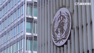 主張台灣參與世衛大會　日德法相繼發言力挺