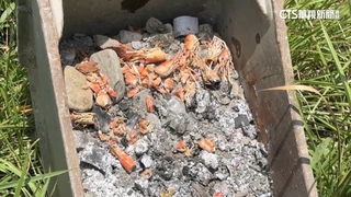 屏東37度高溫！怪手司機突發奇想　蝦隻放鏟斗竟烤熟？