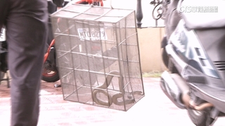 天熱「蛇」出來！　彰化4個月抓801條　含眼鏡蛇等3大毒蛇