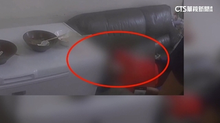 高溫熱爆！　屏東女中暑暈眩路倒　高雄驚見毛蟲大軍