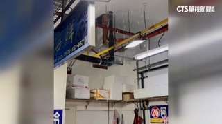 龜吼魚市甫開幕漏水.馬達故障沒海水　管委會：已處理