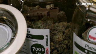 遊泰吃大麻糖果嘗鮮　民眾遭註記「永久不得捐血」