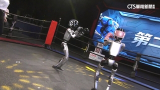 4秒翻身站起！　全球首場「人形機器人」格鬥賽在杭州