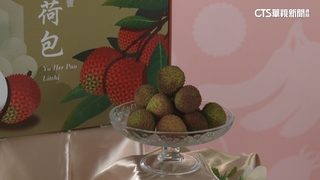 2025高雄夏祭新鮮市熱鬧登場　百件水果藝術品搶競標