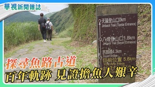 【探尋古道】走讀陽明山國家公園 魚路古道｜華視新聞雜誌