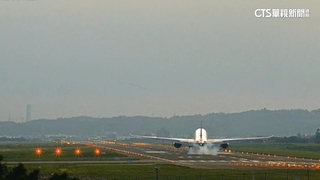 疑似遭遇鳥擊！桃機跑道一度關閉35分鐘　影響13航班