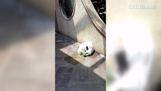 等太久？外送員整袋物品甩地上玻璃油瓶破　平台調查中