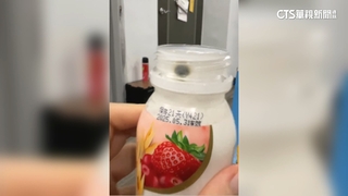 買即期優格飲驚見「青綠霉點」　醫師：恐致急性腸胃炎