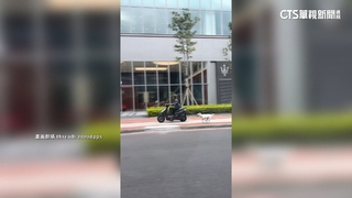 騎士違騎人行道「車尾綁繩拖狗撞燈桿」　網喊心疼