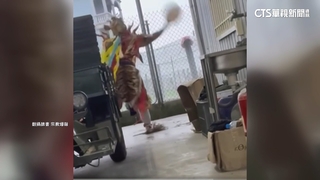 提供休息卻爆「陣頭扔物虐狗」？　飼主不追究　廟方致歉