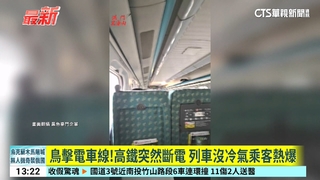 收假開工出狀況！「鳥擊」電車線　高鐵斷電延誤5班次