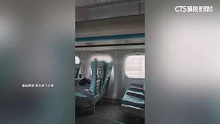 鳥觸擊電車線！高鐵5列車營運中一度斷電　排除障礙