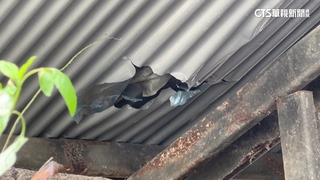 疑礦區碎石飛落「砸破屋頂」　亞泥認疏失：錯估火藥量