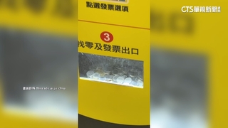 停車場收費機「大撒幣」！　民眾笑：拉霸機中獎了