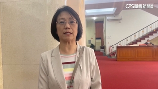 翁曉玲提案公務員增「育孫假」　綠委：育嬰假已包括「孫」