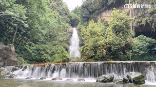 杉林溪繡球花海如童話世界　瀑布傾洩透心涼