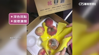 拉拉山「千元買到爛桃」　非當事業者：水傷看不出來