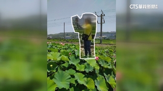 荷花+冠軍列車亂象多！　民眾闖鐵軌　4天2列車被逼停