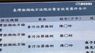 政院南辦副執行長涉詐領助理費收押　卓揆裁示解職