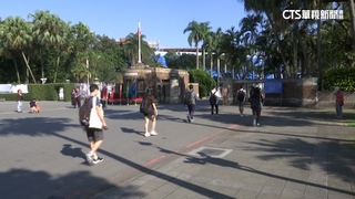 大學申請入學今放榜！　招生缺額8196「近4年新低」