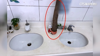 不滿吵鬧被罵！　2高一生尾隨進廁毆老師　打到棍棒斷