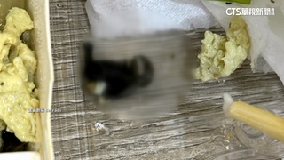 便當驚現疑似「死蝙蝠」！客喊噁PO網　業者：了解溝通中