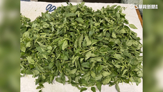 「祥和蔬食」　「非常泰」九層塔農藥超標　遭要求下架