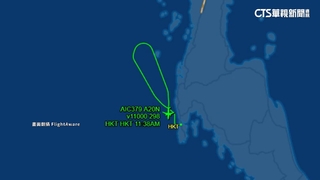 才墜機！　印航又收炸彈威脅　急載156人返航平安降落