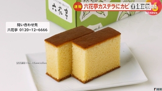 北海道蜂蜜蛋糕店出包　回收3400條疑似發霉商品