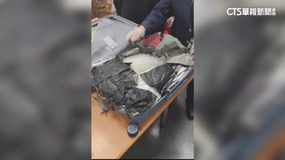 桃機查獲35公斤K毒闖關　加籍女：接受「免費旅遊」委託