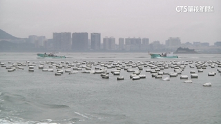 週刊爆默許中國人越界養蚵　海巡署駁：已加強查緝