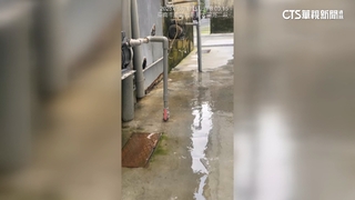 洗衣店廢水排防火巷？鄰居難接受　業者：合乎規定