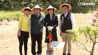 台南芒果節盛大開幕　黃偉哲.安倍夫人聯手種芒果樹