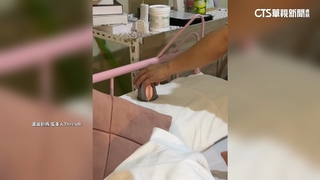 客控一晚1.2萬豪華帳篷「蟑螂陪睡」　業者：每週清潔2次