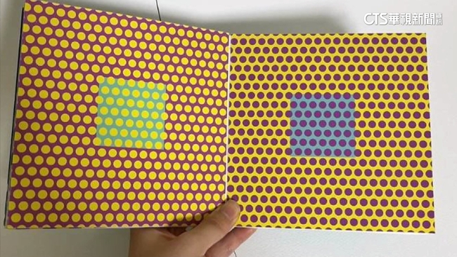 是藍？還是綠？　「色塊視覺風暴」引發網熱議 | 華視新聞