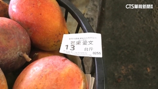 玉井芒果夯！　認清「安心標章」編號可追溯果農
