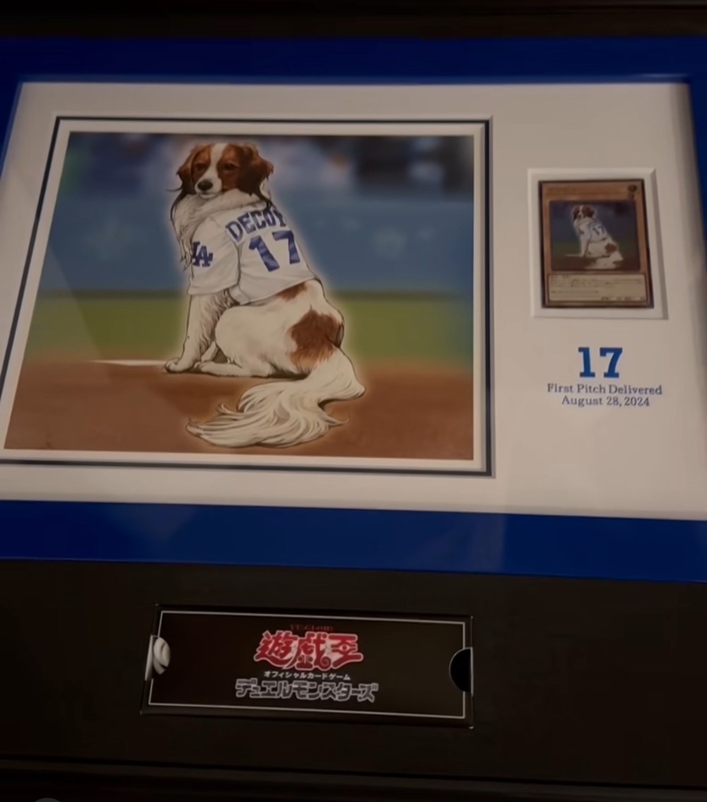 大谷翔平曬愛犬遊戲卡！嗨喊「輪到我抽卡」1處驚藏巧思 | 圖/ 翻攝自IG@shoheiohtani