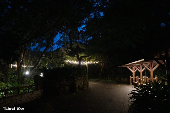 北市動物園7/5起暑假週六延長開放　首開放沙漠澳洲動物區邀民眾「夜FUN野餐趣」 | 華視新聞