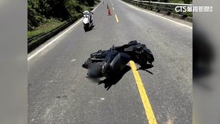 獼猴突襲屏東道路　騎士閃避不及自摔　釀2傷！