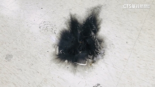 戒護不周！　嫌玩照明彈險燒派出所　所長等4人遭懲處