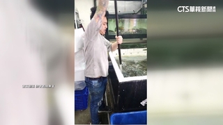 搶攻「海鮮經濟」直播主出奇招　水產現煮.現撈拚買氣