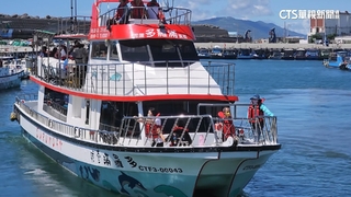 賞鯨全額補助？　業者：無此活動　小心被詐個資