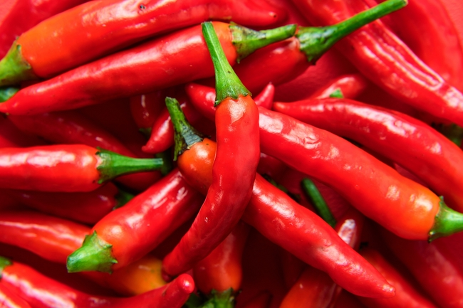 辣椒醬秘辛！農糧署曝「1本土最辣」辣椒是原料　配菜更俱色香味 | 華視新聞